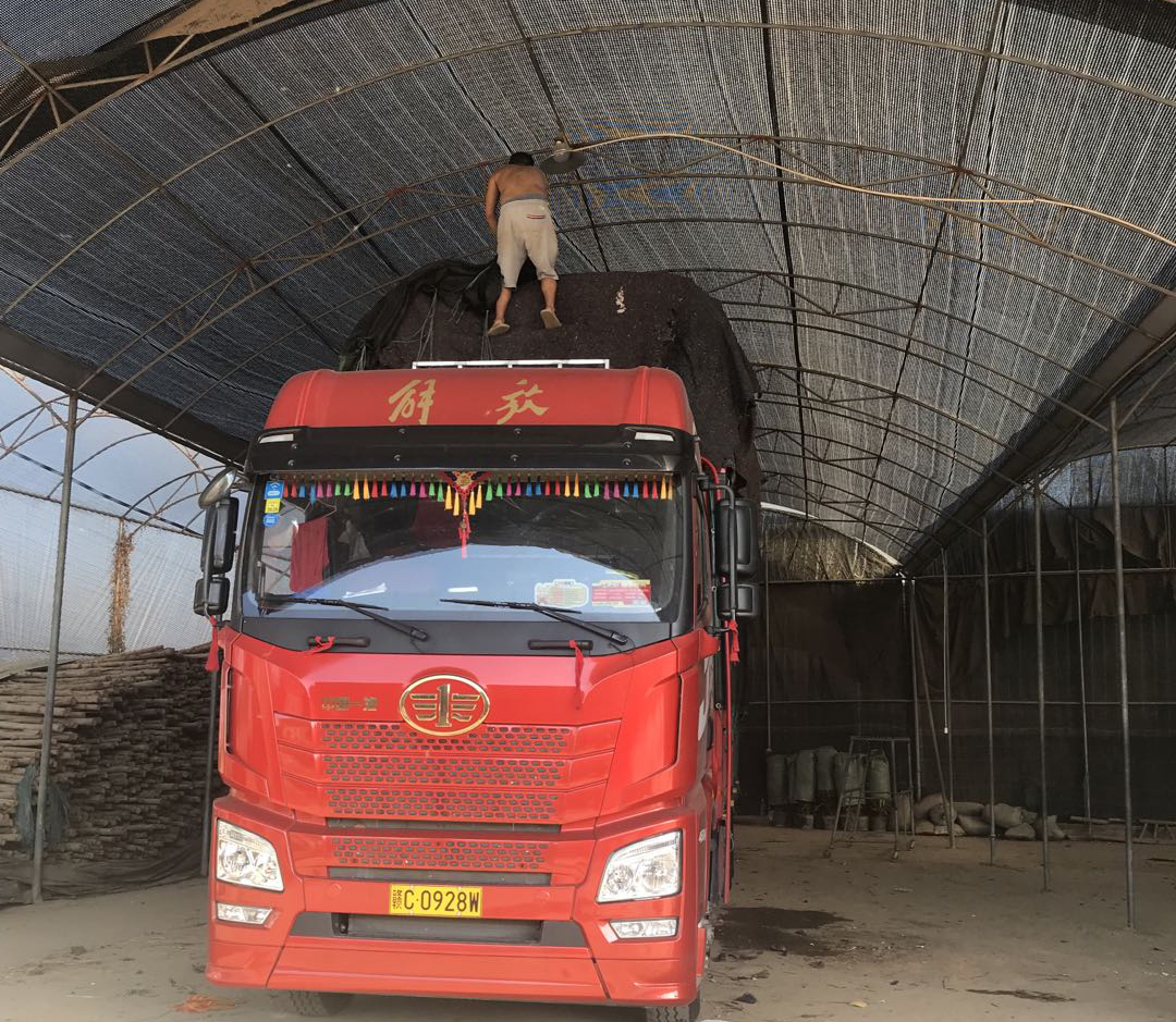 和美綠化春季廣州集中采購到貨